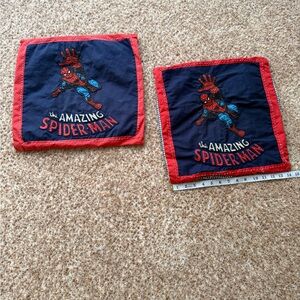 Pottery Barn Kids Amazing Spider-Man Kids Pillow sham covers